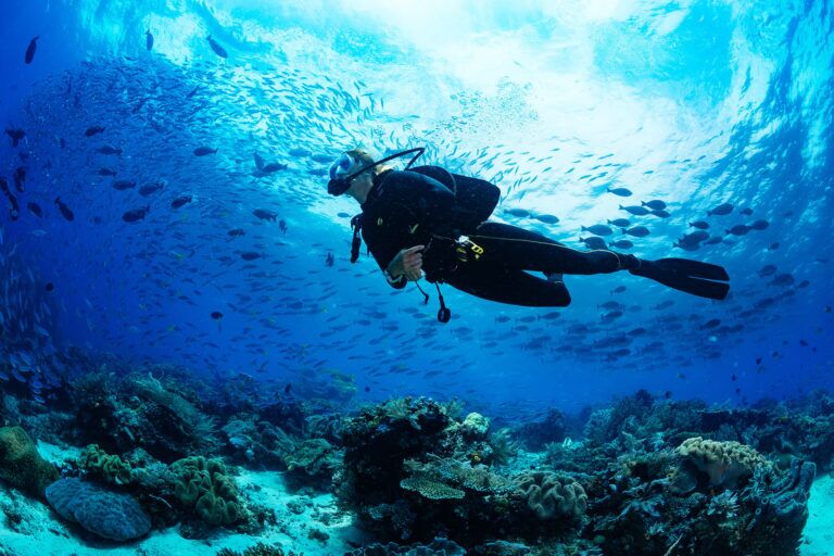 The 11 Most Important Scuba Rule For Safe Diving