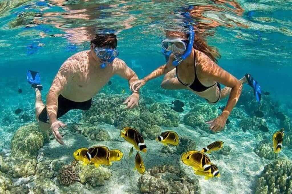 miami beach snorkeling tour