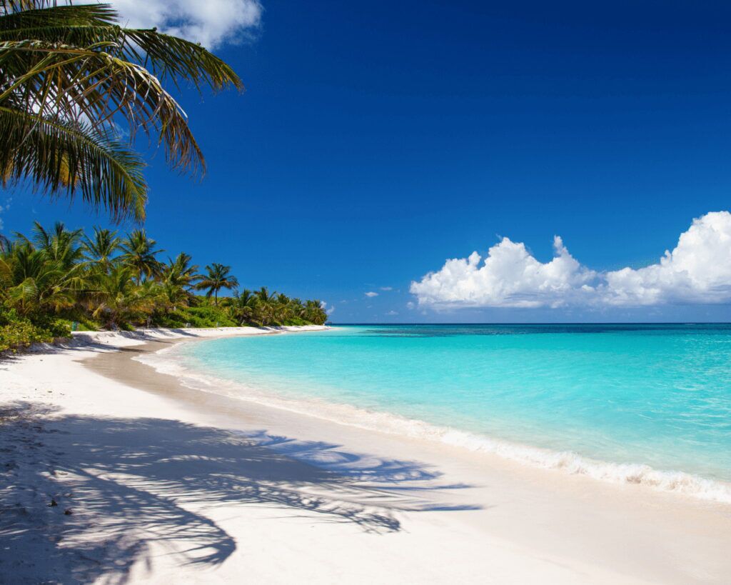 Flamenco Beach Snorkeling: The 1 Of The Best 10 Beaches